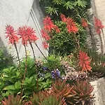 New On Playa Silgar, 2 Bedrooms, 2 Bathrooms, Garage סנשנשו